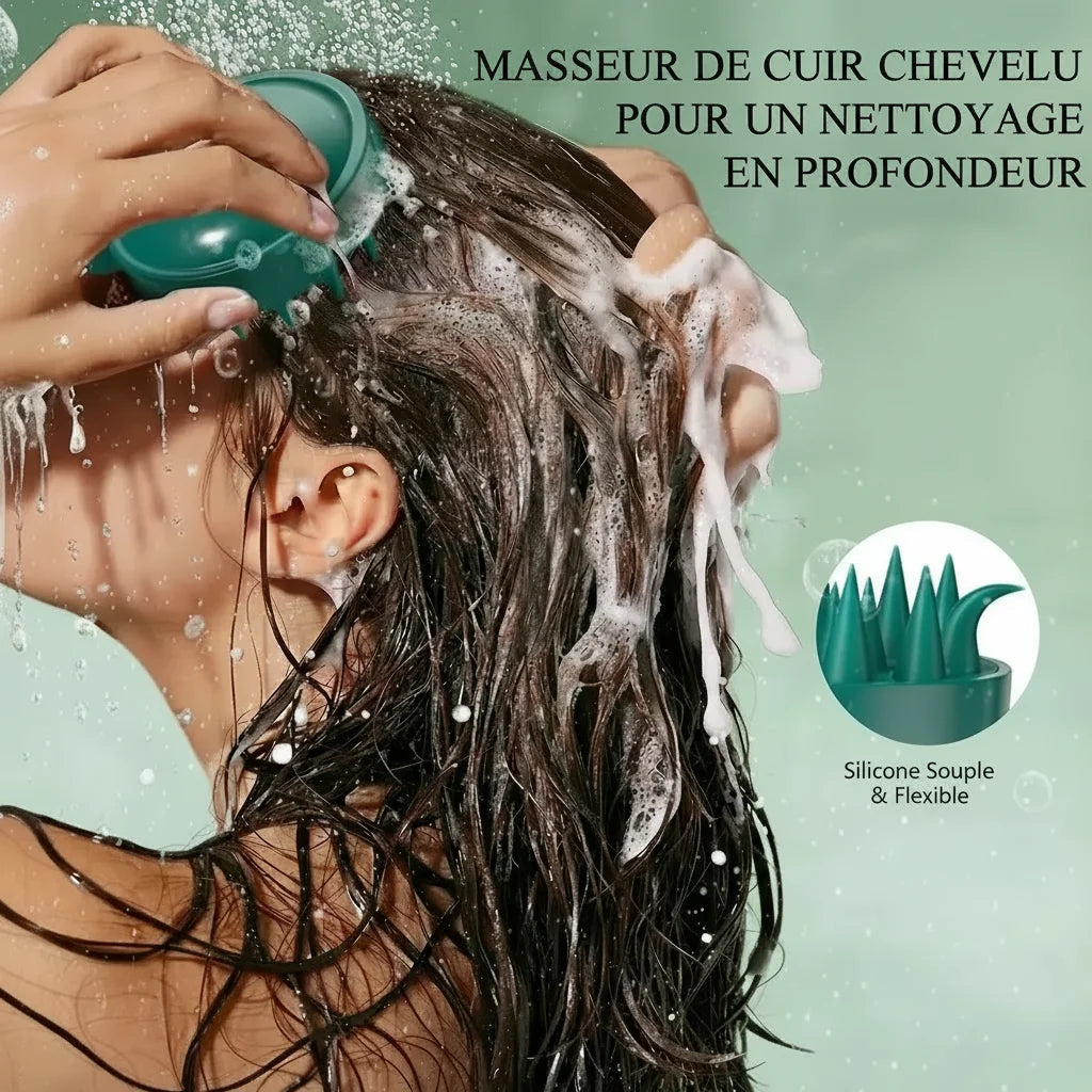 brosse gommage 